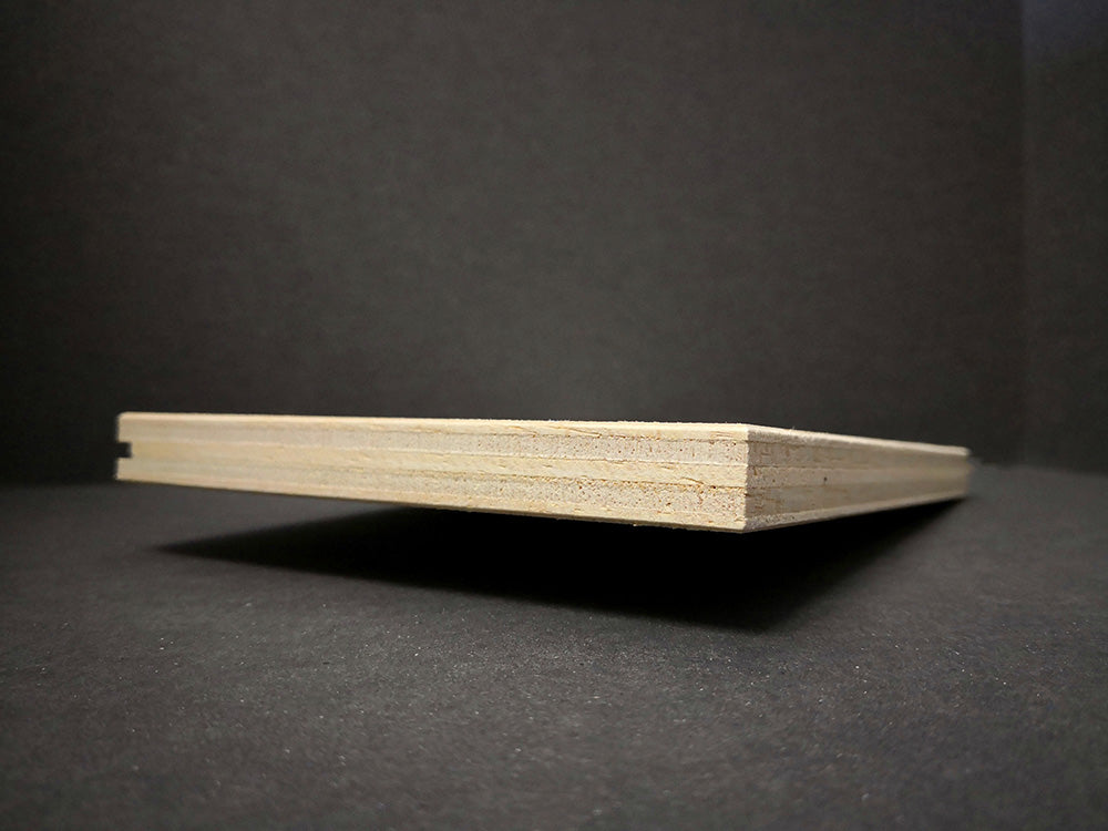 Vægmodul 1250 x 2500 mm