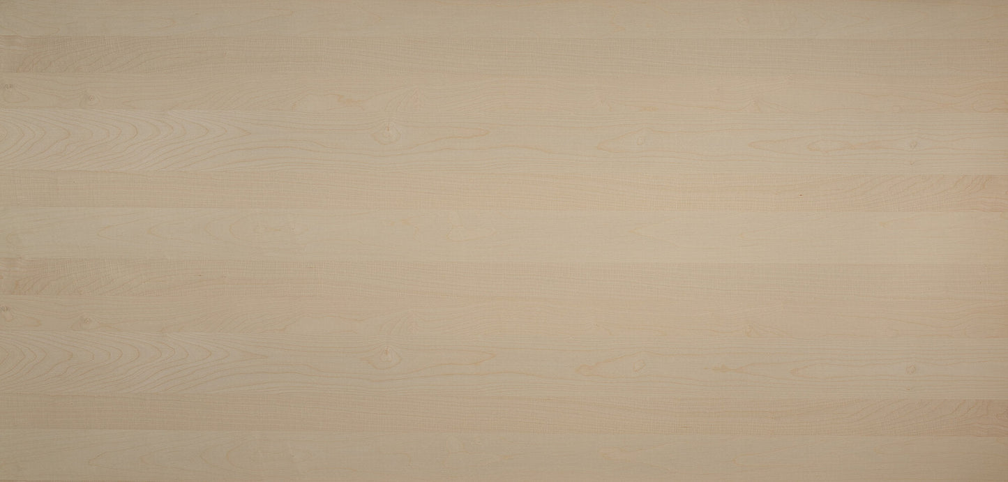Vægmodul 1250 x 2500 mm